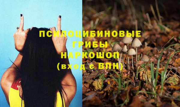 эйфоретик Балахна