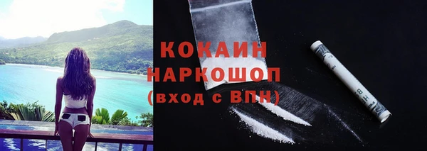 гидра Саяногорск