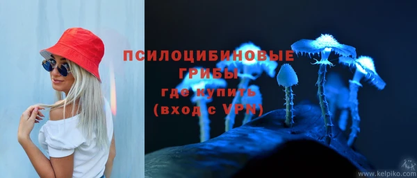 ECSTASY Баксан
