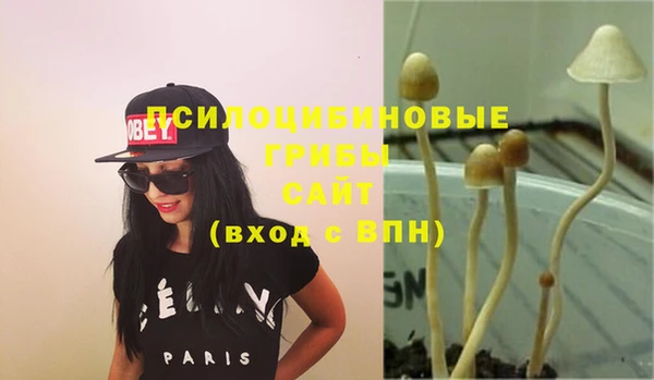 ECSTASY Баксан